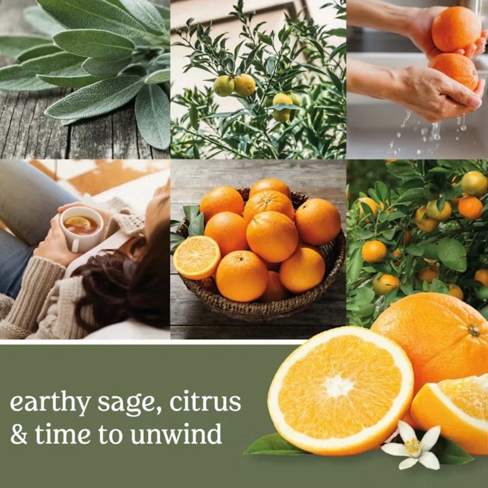 Yankee Candle Sage & Citrus - Picture 2 of 3